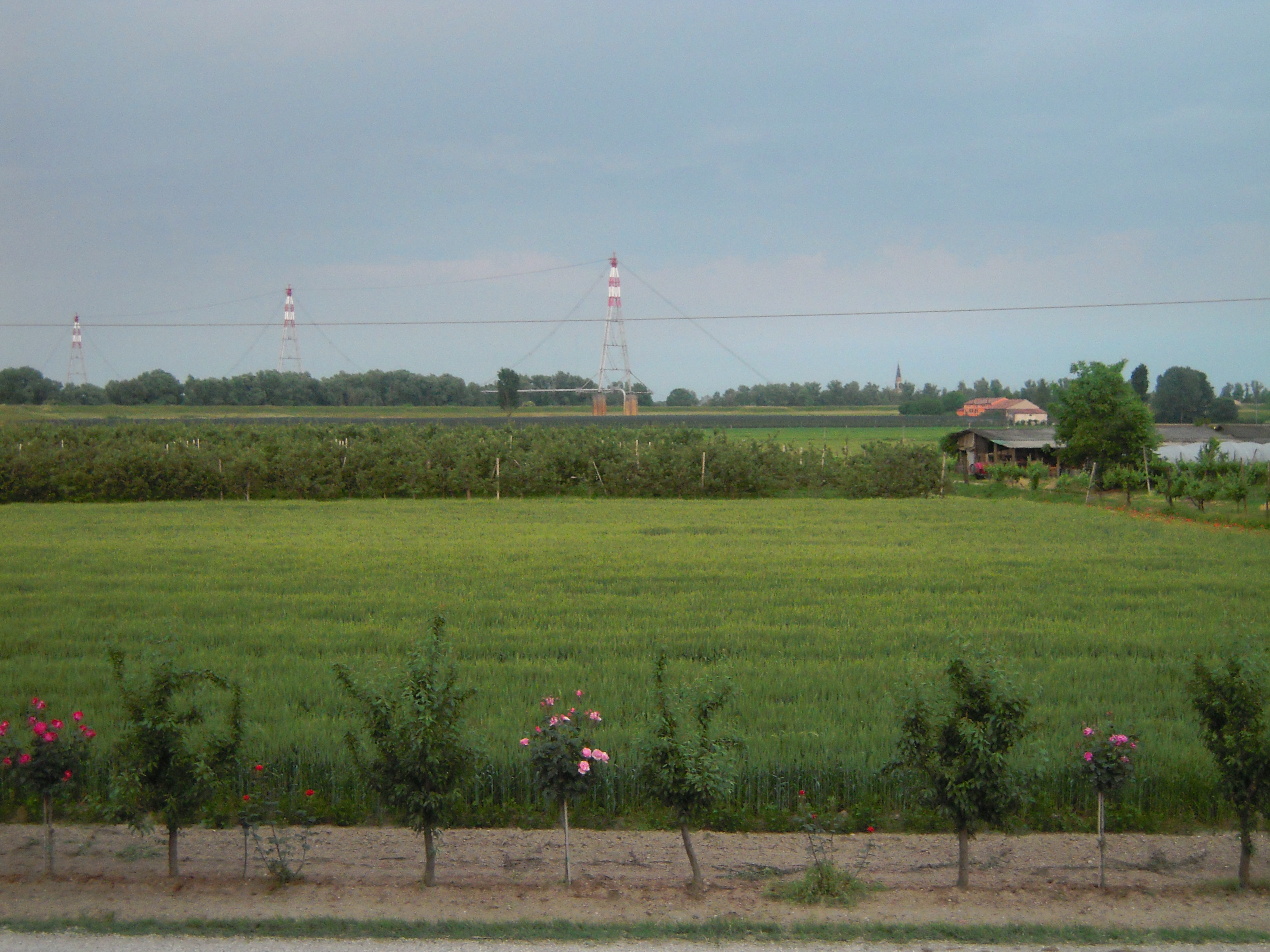 Paesaggio di pianura